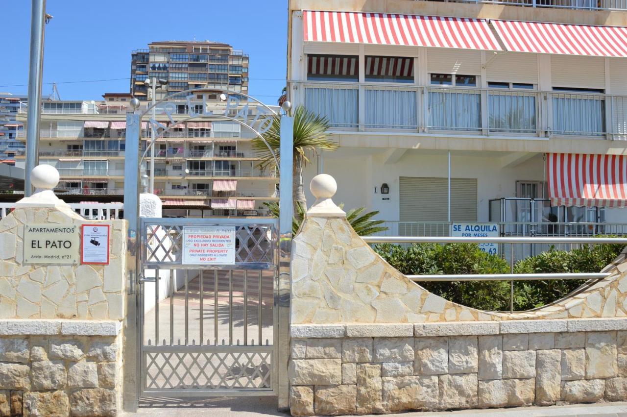 Apartment Sea View