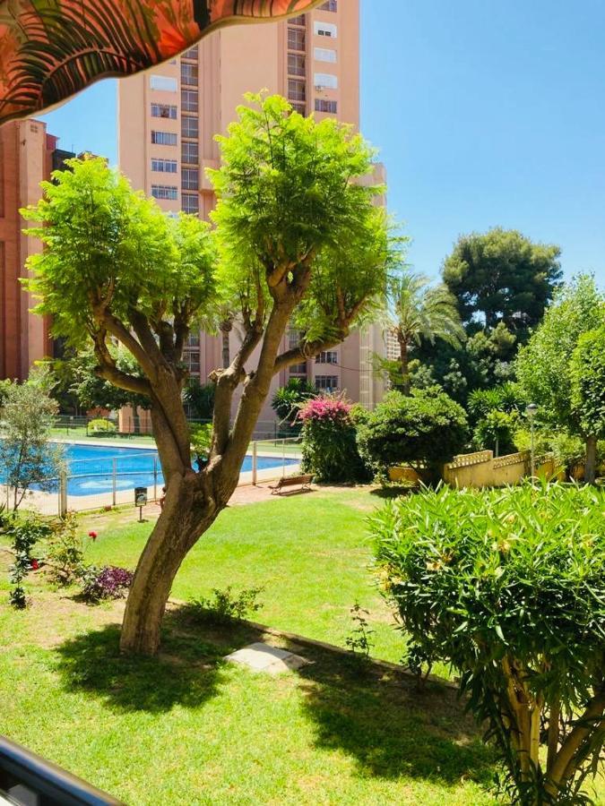 Apartamento de 2 dormitorios