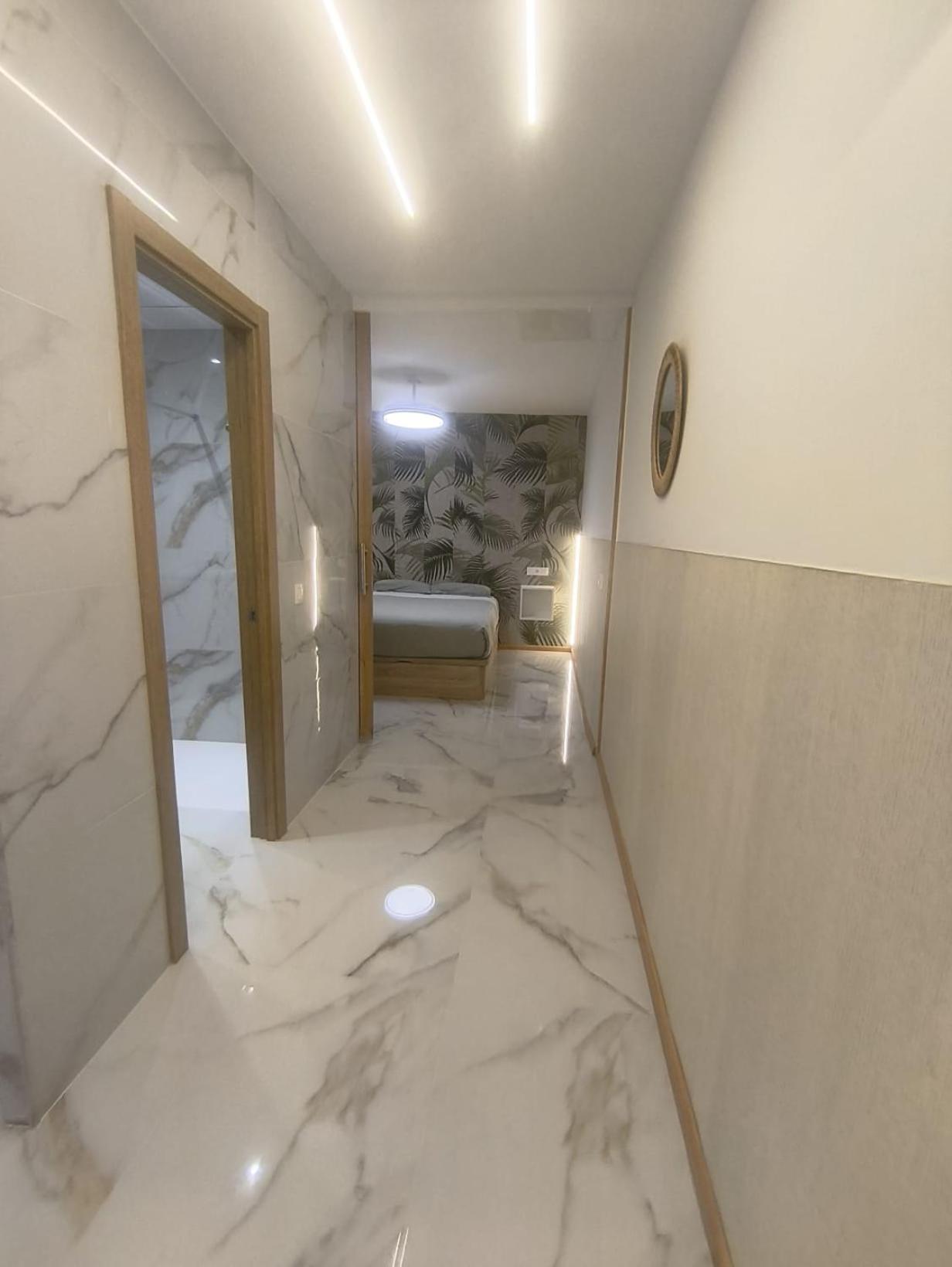 Deluxe One-Bedroom Apartment