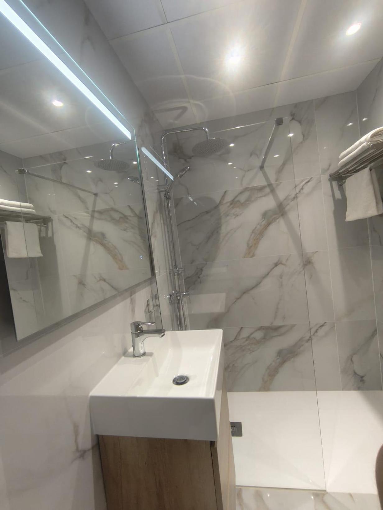 Deluxe One-Bedroom Apartment