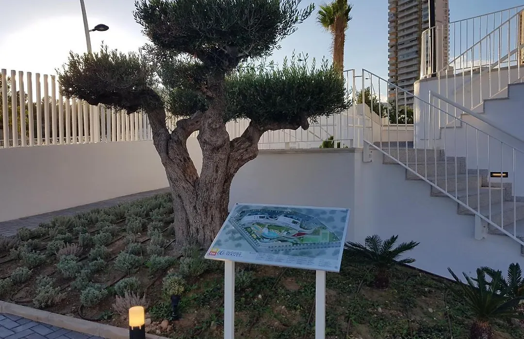 Romero Apartments-Sunset Waves-Benidorm-1