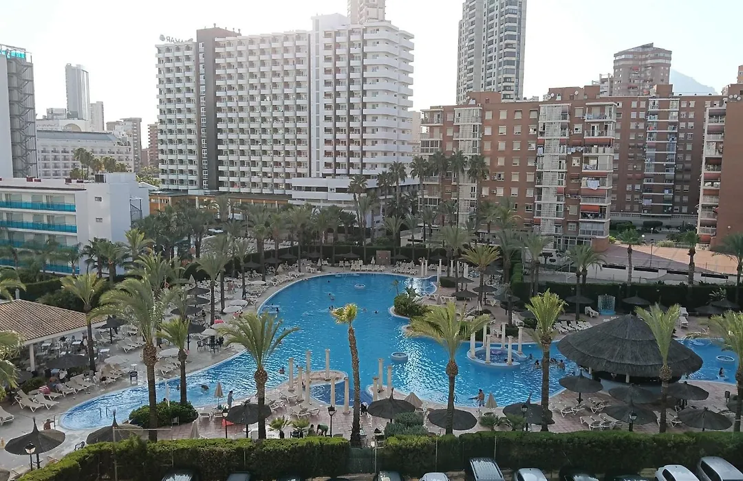 Benidorm New Apartament In Aquarium One Bedroom-1