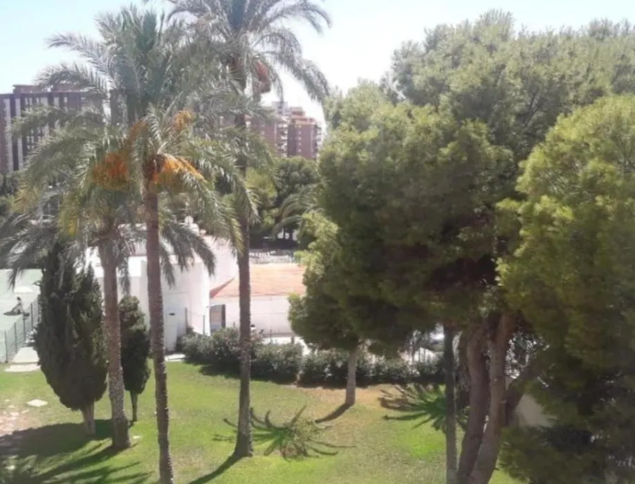 Apartments Benidorm Classy-1