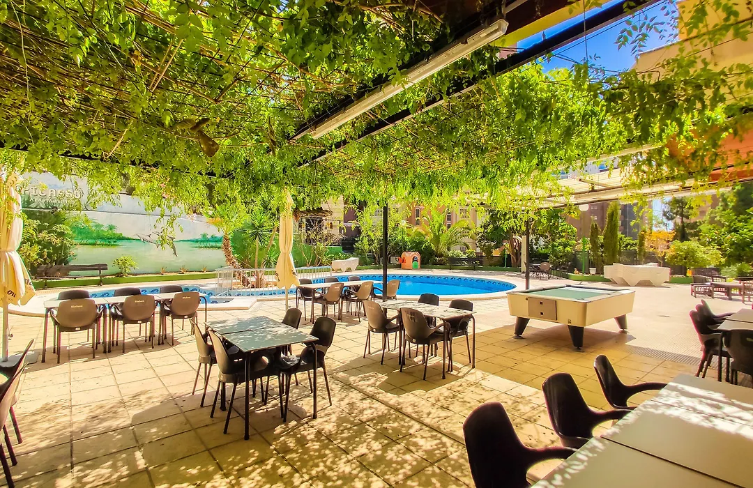 Picasso-Fincas Benidorm-1