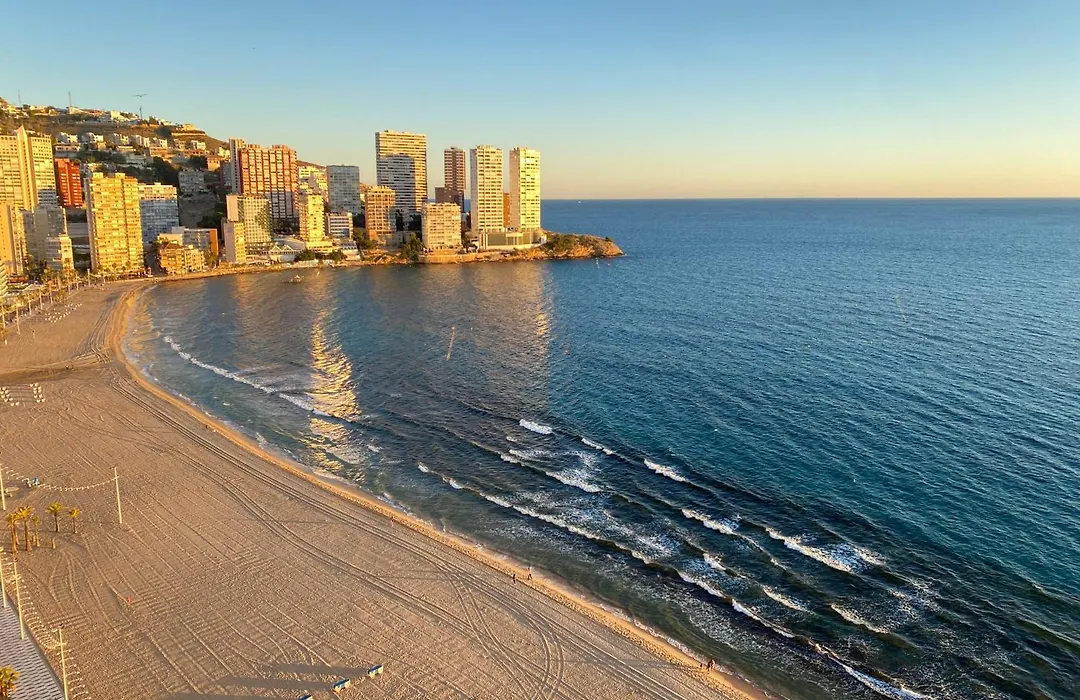 Las Damas estudio-Fincas Benidorm-1