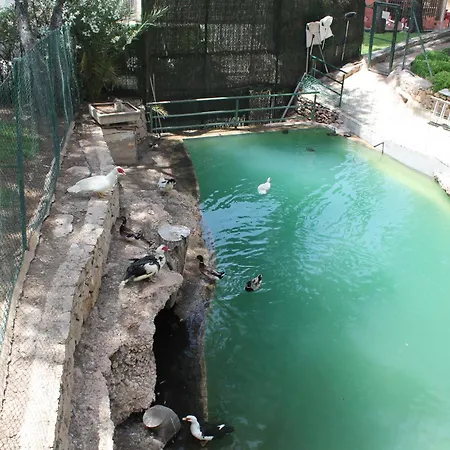 Bonito Piso Benidorm Levante-2