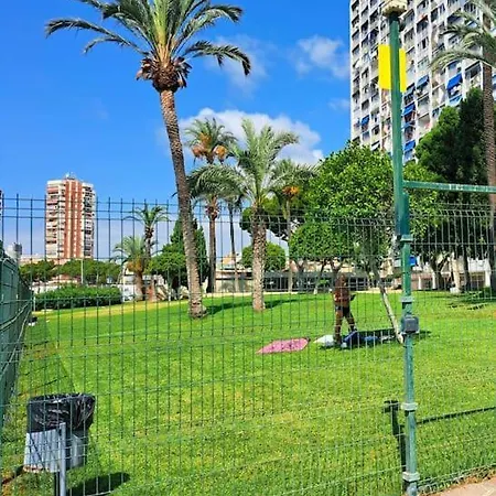 Studio In Benidorm With Sea View-2
