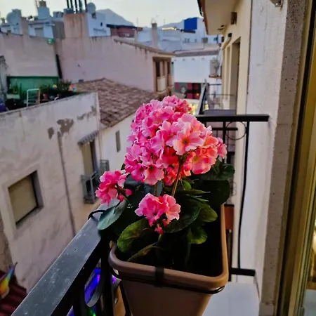 Apartamento Casco Antiguo Benidorm-3