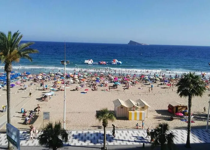 Estudio playa levante
