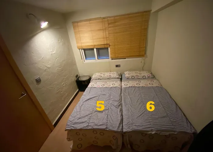 First Line Apartment