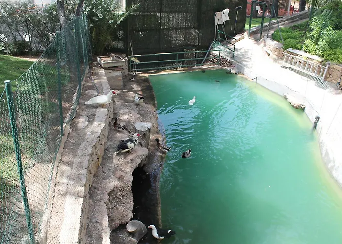 Bonito Piso Levante
