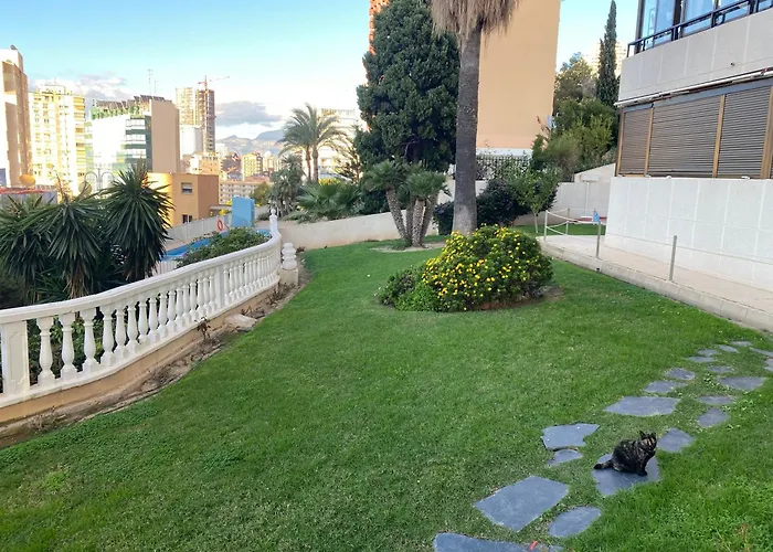 Trinisol 2-Fincas Benidorm