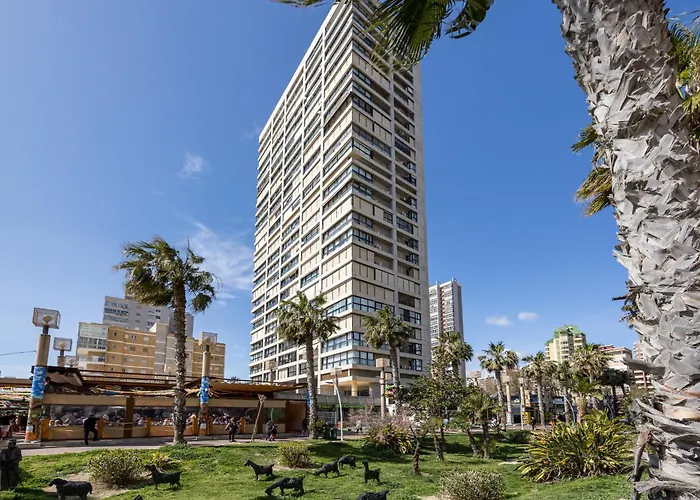 Primera Línea Playa Levante Piso 21 Vistas Infinitas Al Mar Y Montaña