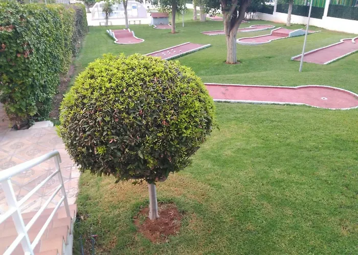 Levante Gemelos 8